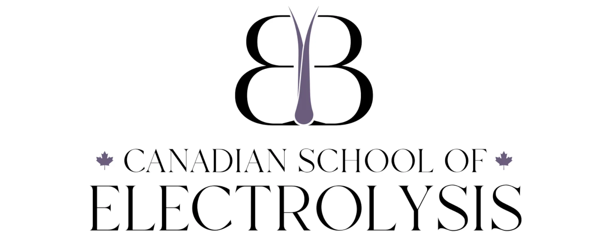 CSE Logo 1647x640