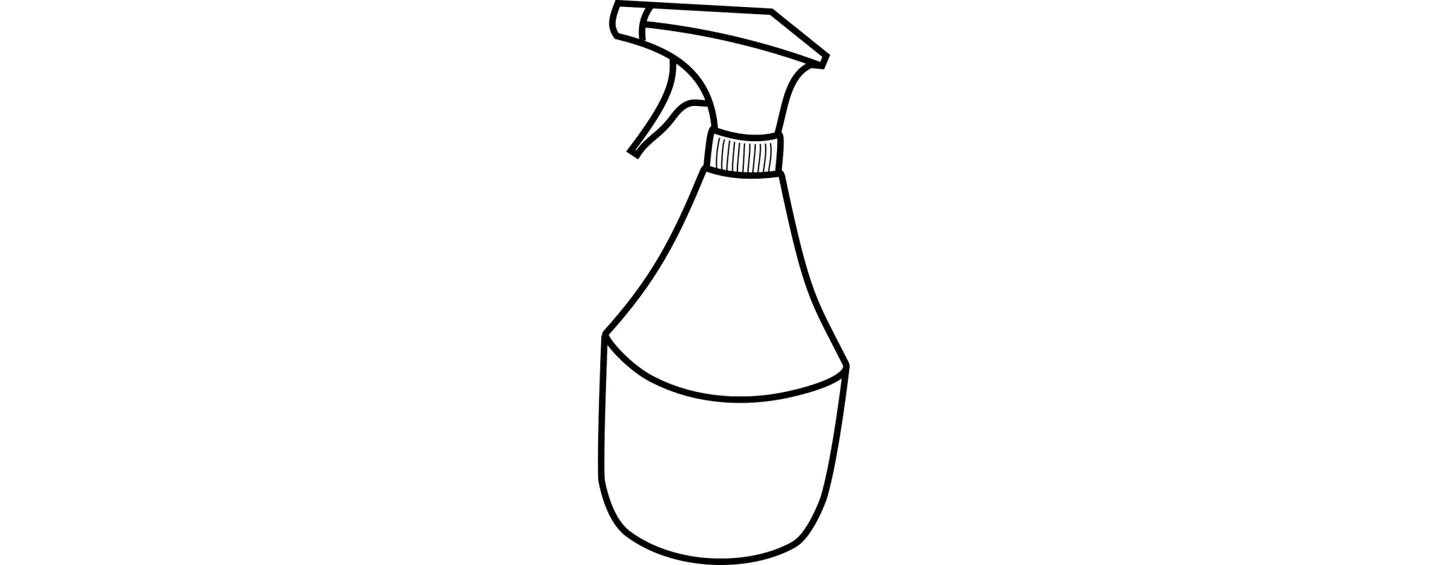 Spray bottle